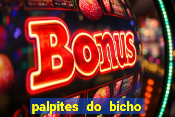 palpites do bicho no celular